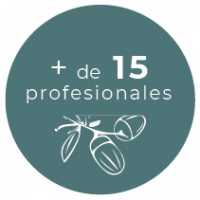 gallery/15 profesionales